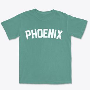 Phoenix New York Classic Curve Premium Heavyweight T-shirt