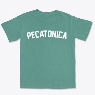 Pecatonica Illinois Classic Curve Premium Heavyweight T-shirt
