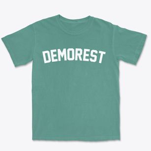 Demorest Georgia Classic Curve Premium Heavyweight T-shirt