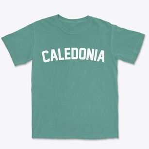Caledonia Missouri Classic Curve Premium Heavyweight T-shirt
