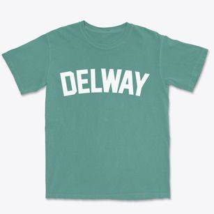 Delway North Carolina Classic Curve Premium Heavyweight T-shirt