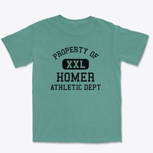 Homer Alaska Athletic Dept Premium Heavyweight T-shirt