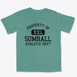 Sumrall Mississippi Athletic Dept Premium Heavyweight T-shirt