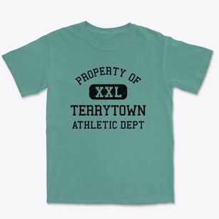 Terrytown Nebraska Athletic Dept Premium Heavyweight T-shirt
