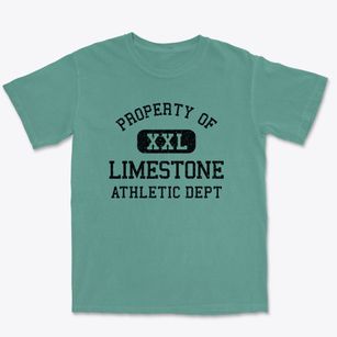 Limestone Oklahoma Athletic Dept Premium Heavyweight T-shirt