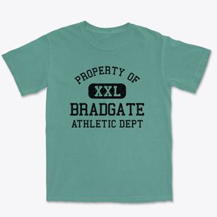 Bradgate Iowa Athletic Dept Premium Heavyweight T-shirt