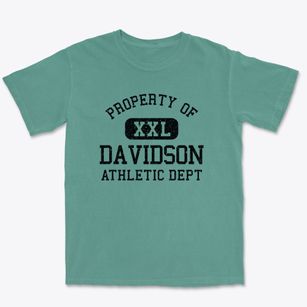 Davidson North Carolina Athletic Dept Premium Heavyweight T-shirt