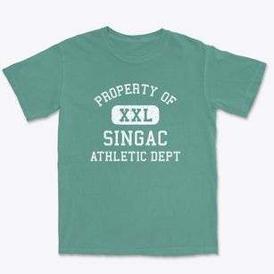 Singac New Jersey Athletic Dept Premium Heavyweight T-shirt