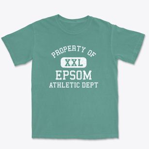 Epsom New Hampshire Athletic Dept Premium Heavyweight T-shirt