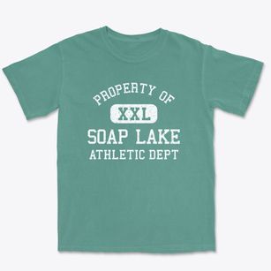 Soap Lake Washington Athletic Dept Premium Heavyweight T-shirt