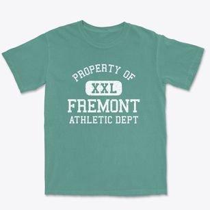 Fremont Ohio Athletic Dept Premium Heavyweight T-shirt