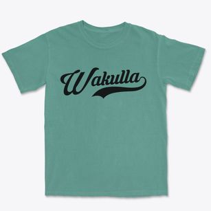 Wakulla North Carolina Vintage Team Premium Heavyweight T-shirt