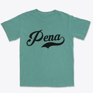 Pena Texas Vintage Team Premium Heavyweight T-shirt
