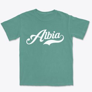 Albia Iowa Vintage Team Premium Heavyweight T-shirt