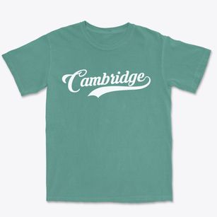 Cambridge Wisconsin Vintage Team Premium Heavyweight T-shirt