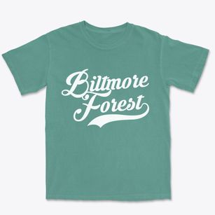 Biltmore Forest North Carolina Vintage Team Premium Heavyweight T-shirt
