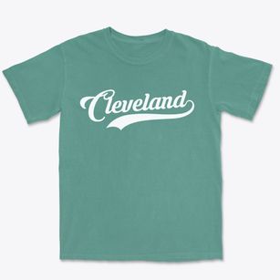 Cleveland New York Vintage Team Premium Heavyweight T-shirt