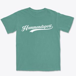 Hammondsport New York Vintage Team Premium Heavyweight T-shirt