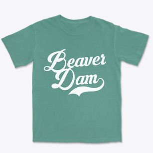 Beaver Dam Wisconsin Vintage Team Premium Heavyweight T-shirt