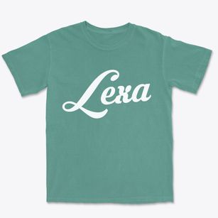 Lexa Arkansas Vintage Team Premium Heavyweight T-shirt