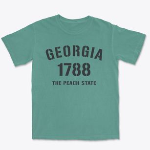  Georgia Established Premium Heavyweight T-shirt