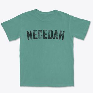 Necedah Wisconsin Timeless Retro Premium Heavyweight T-shirt