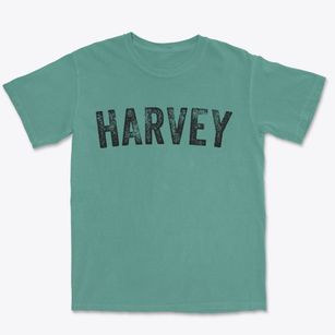 Harvey Michigan Timeless Retro Premium Heavyweight T-shirt