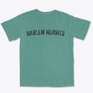 Harlem Heights Florida Timeless Retro Premium Heavyweight T-shirt