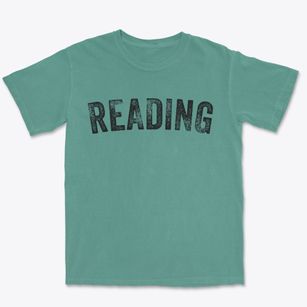 Reading Michigan Timeless Retro Premium Heavyweight T-shirt