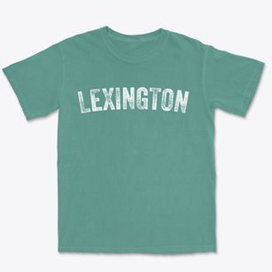 Lexington Missouri Timeless Retro Premium Heavyweight T-shirt