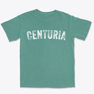 Centuria Wisconsin Timeless Retro Premium Heavyweight T-shirt