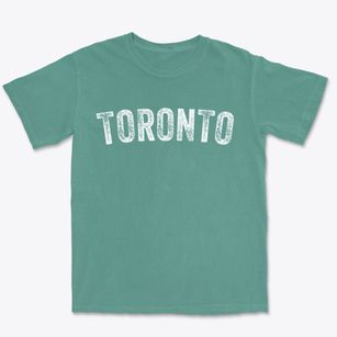 Toronto South Dakota Timeless Retro Premium Heavyweight T-shirt