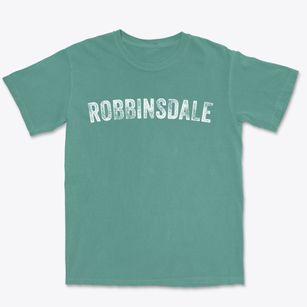 Robbinsdale Minnesota Timeless Retro Premium Heavyweight T-shirt