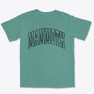 Mammoth Arizona Trendy Block Premium Heavyweight T-shirt