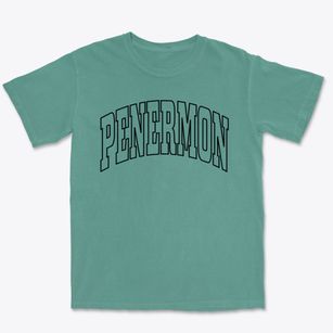 Penermon Missouri Trendy Block Premium Heavyweight T-shirt