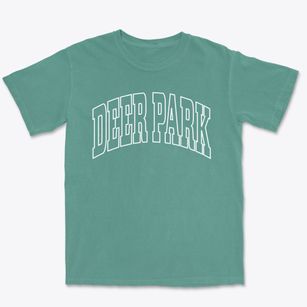 Deer Park Illinois Trendy Block Premium Heavyweight T-shirt