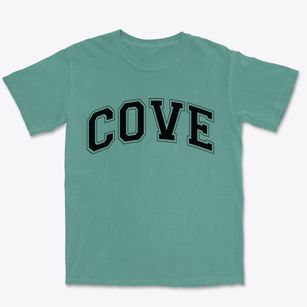 Cove Arkansas Varsity Premium Heavyweight T-shirt