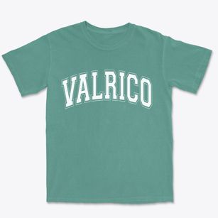 Valrico Florida Varsity Premium Heavyweight T-shirt