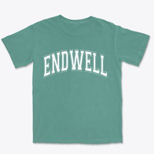 Endwell New York Varsity Premium Heavyweight T-shirt