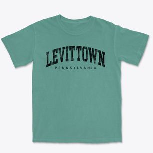 Levittown Pennsylvania Urban Vibe Premium Heavyweight T-shirt