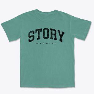 Story Wyoming Urban Vibe Premium Heavyweight T-shirt