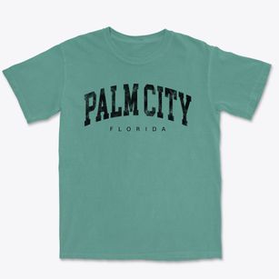 Palm City Florida Urban Vibe Premium Heavyweight T-shirt