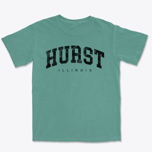 Hurst Illinois Urban Vibe Premium Heavyweight T-shirt