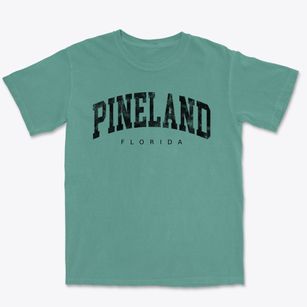 Pineland Florida Urban Vibe Premium Heavyweight T-shirt