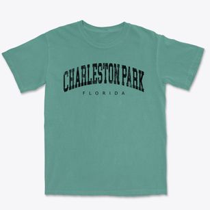Charleston Park Florida Urban Vibe Premium Heavyweight T-shirt