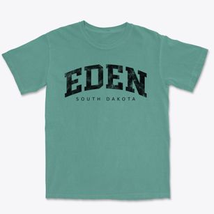 Eden South Dakota Urban Vibe Premium Heavyweight T-shirt
