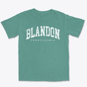 Blandon Pennsylvania Urban Vibe Premium Heavyweight T-shirt
