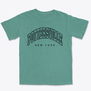 Pottersville New York Inline Premium Heavyweight T-shirt