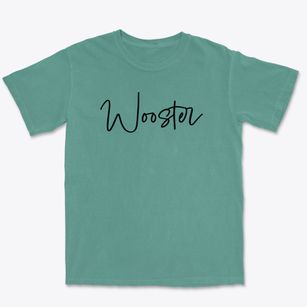 Wooster Ohio Freestyle Premium Heavyweight T-shirt