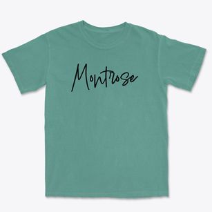 Montrose South Carolina Freestyle Premium Heavyweight T-shirt